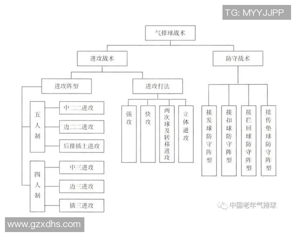 南京排球队的转换打法深度分析与战术创新探讨