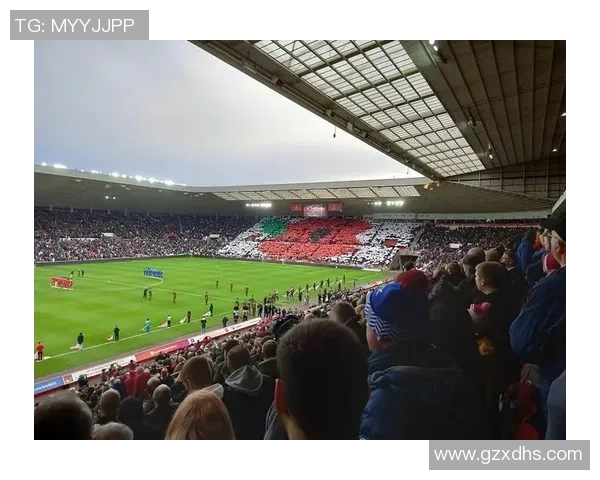 德国足球明星熊猫的传奇故事与绿茵场上的精彩瞬间 德国足球明星熊猫的传奇故事与绿茵场上的精彩瞬间